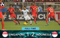 คลิปไฮไลท์เอเอฟเอฟ ซูซูกิ คัพ 2016 สิงคโปร์ 1-2 อินโดนีเซีย Singapore 1-2 Indonesia