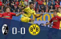 คลิปไฮไลท์บุนเดสลีกา ไฟรบวร์ก 0-0 โบรุสเซีย ดอร์ทมุนด์ Freiburg 0-0 Borussia Dortmund