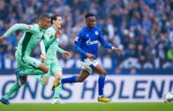 คลิปไฮไลท์บุนเดสลีกา ชาลเก้ 1-1 ฮอฟเฟ่นไฮม์ Schalke 1-1 TSG Hoffenheim